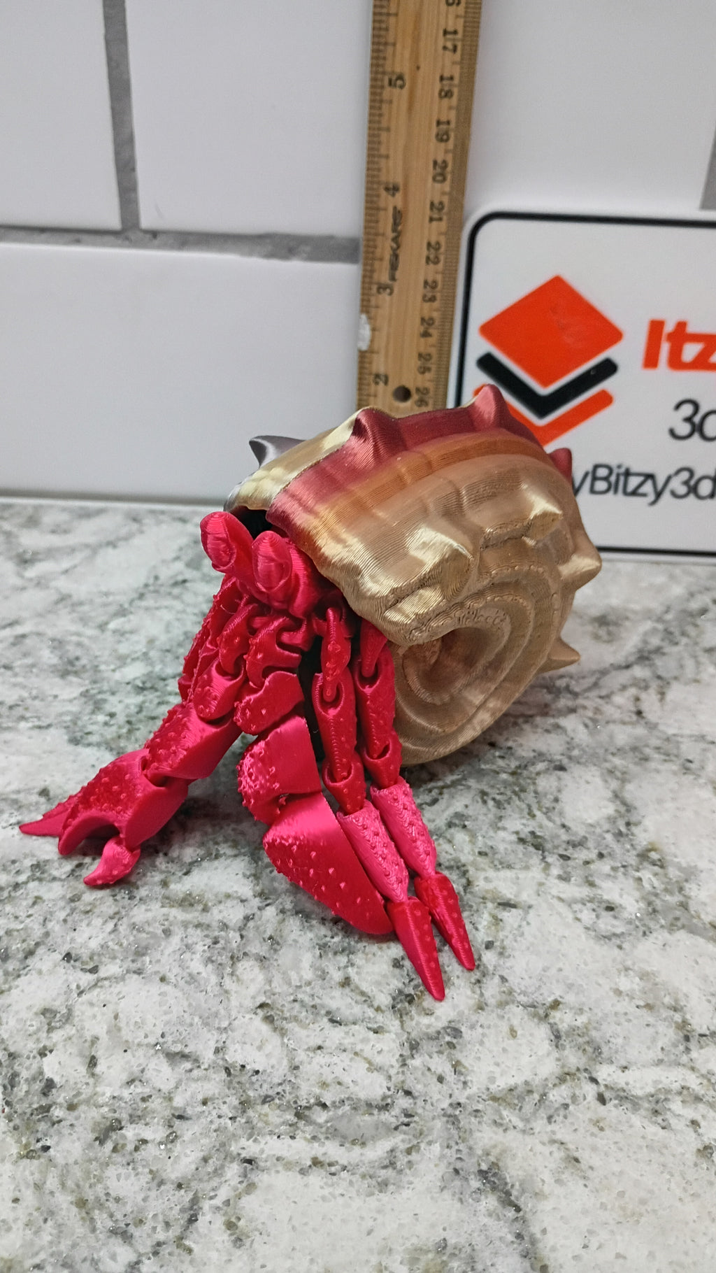 Herbie the Hermit Crab