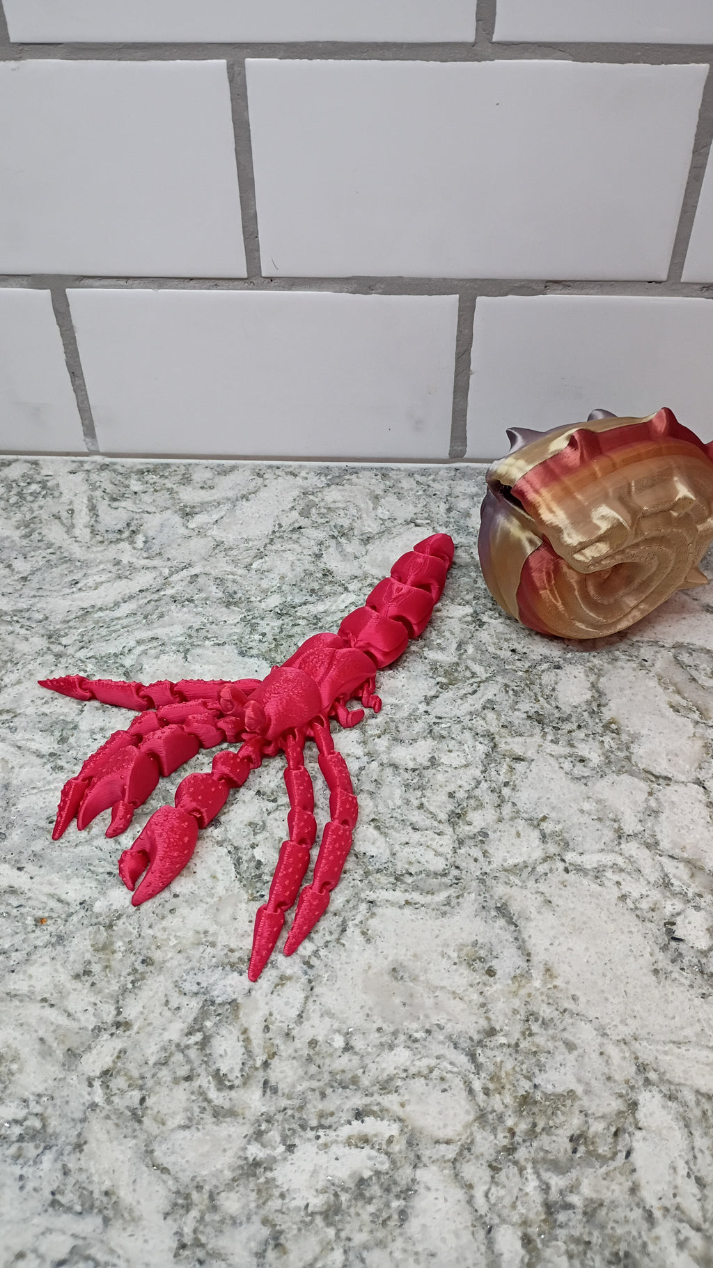 Herbie the Hermit Crab