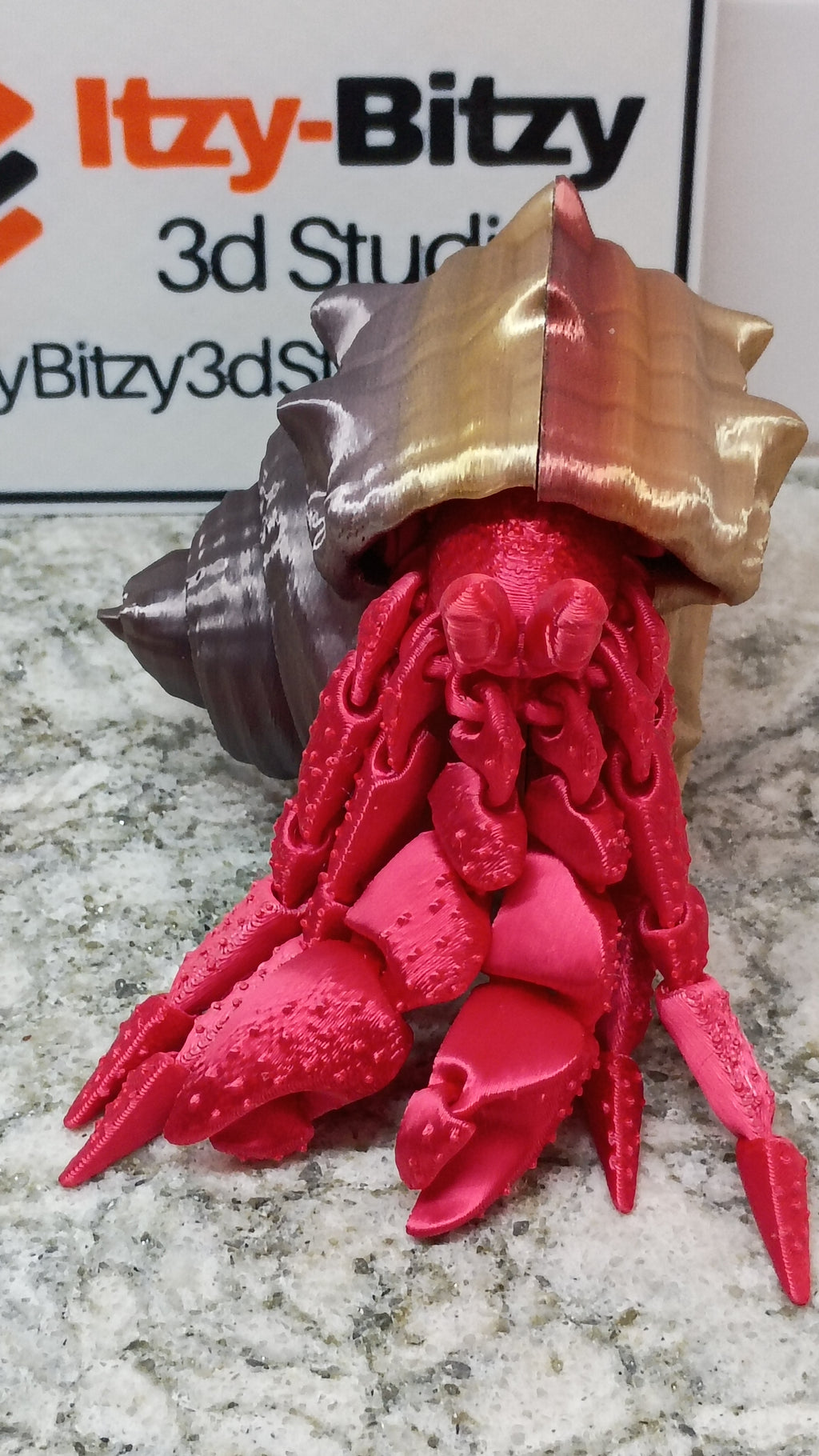 Herbie the Hermit Crab