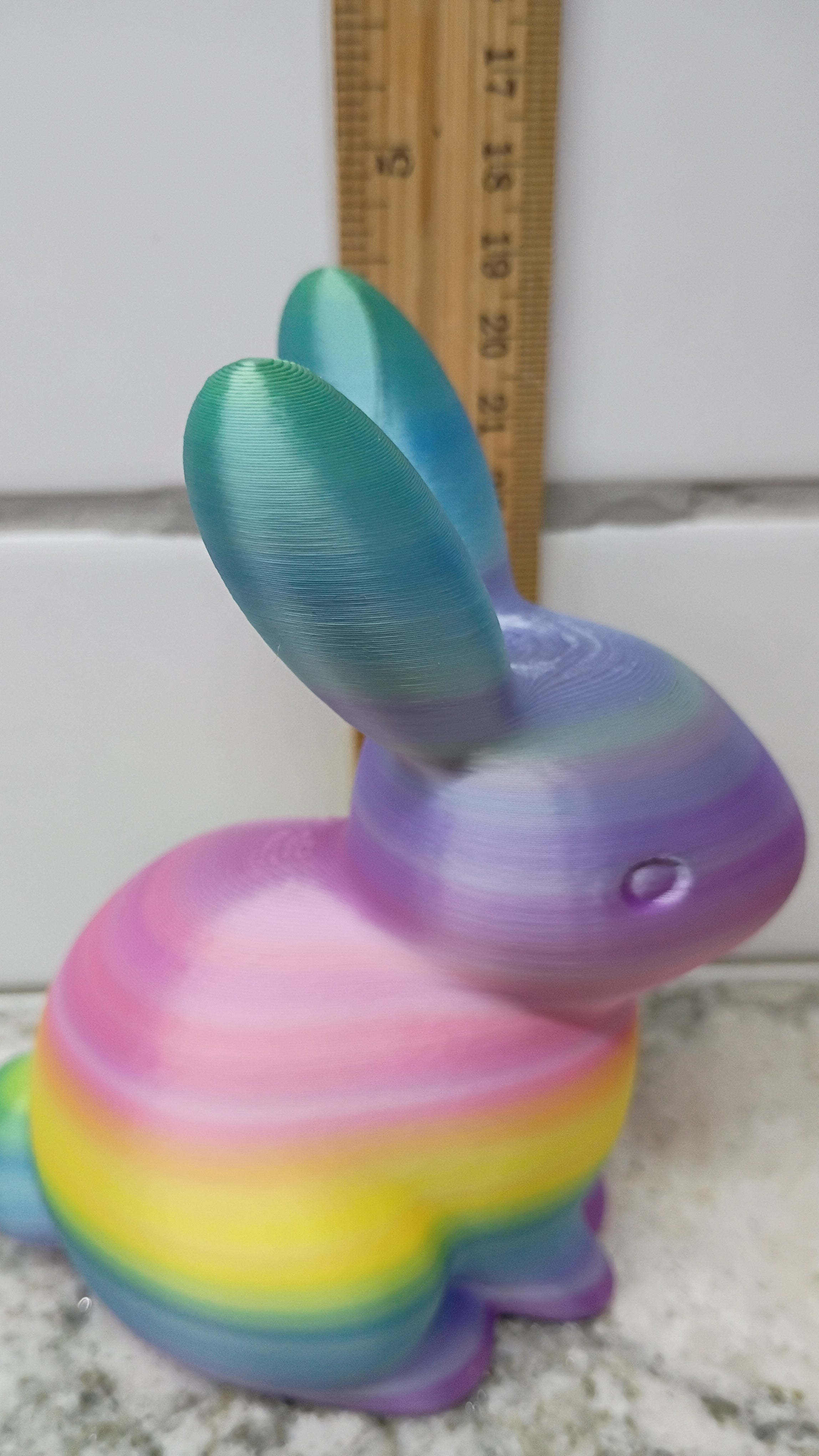 Mr. Bunny (large)
