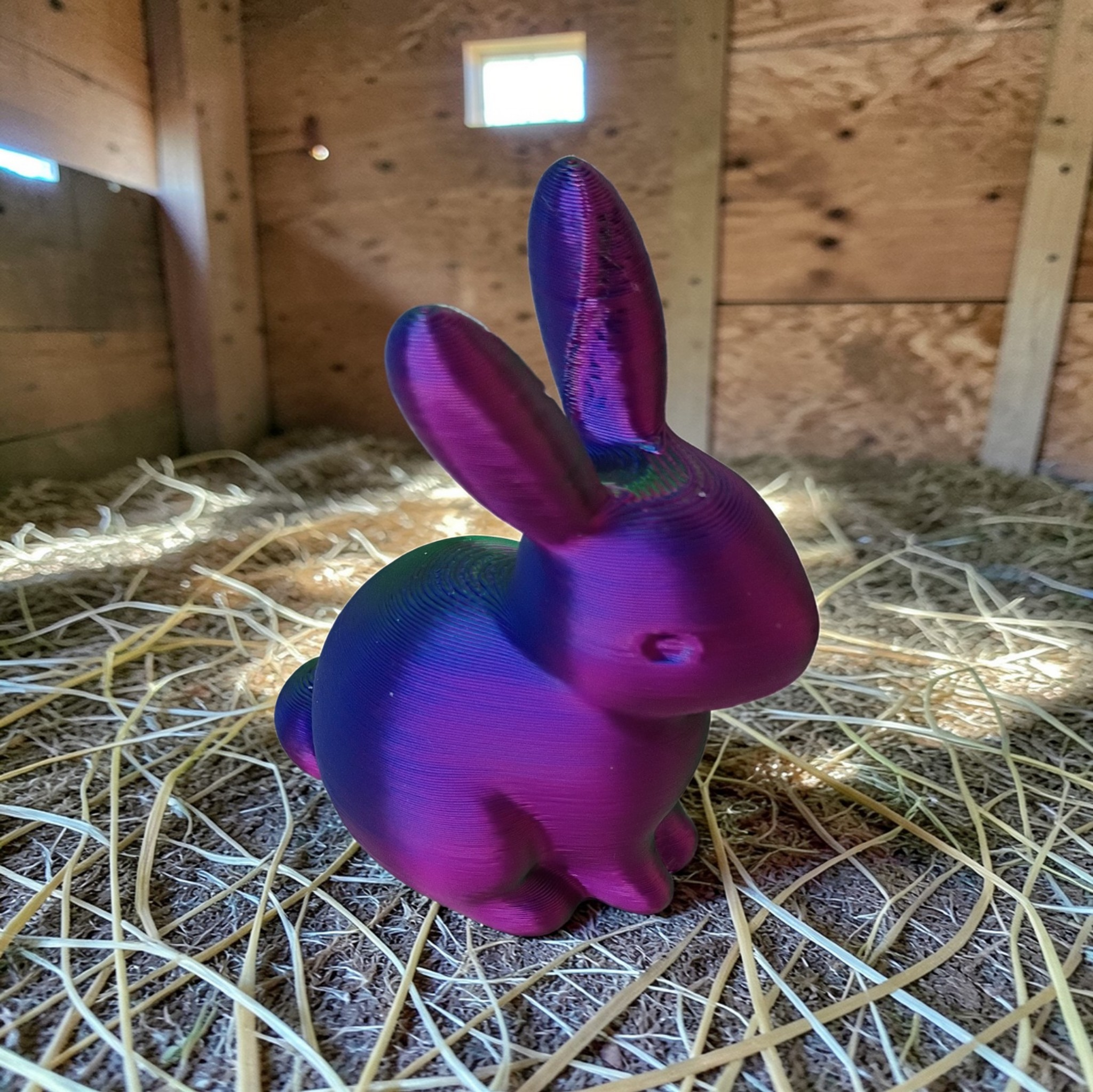 Mr. Bunny (small)