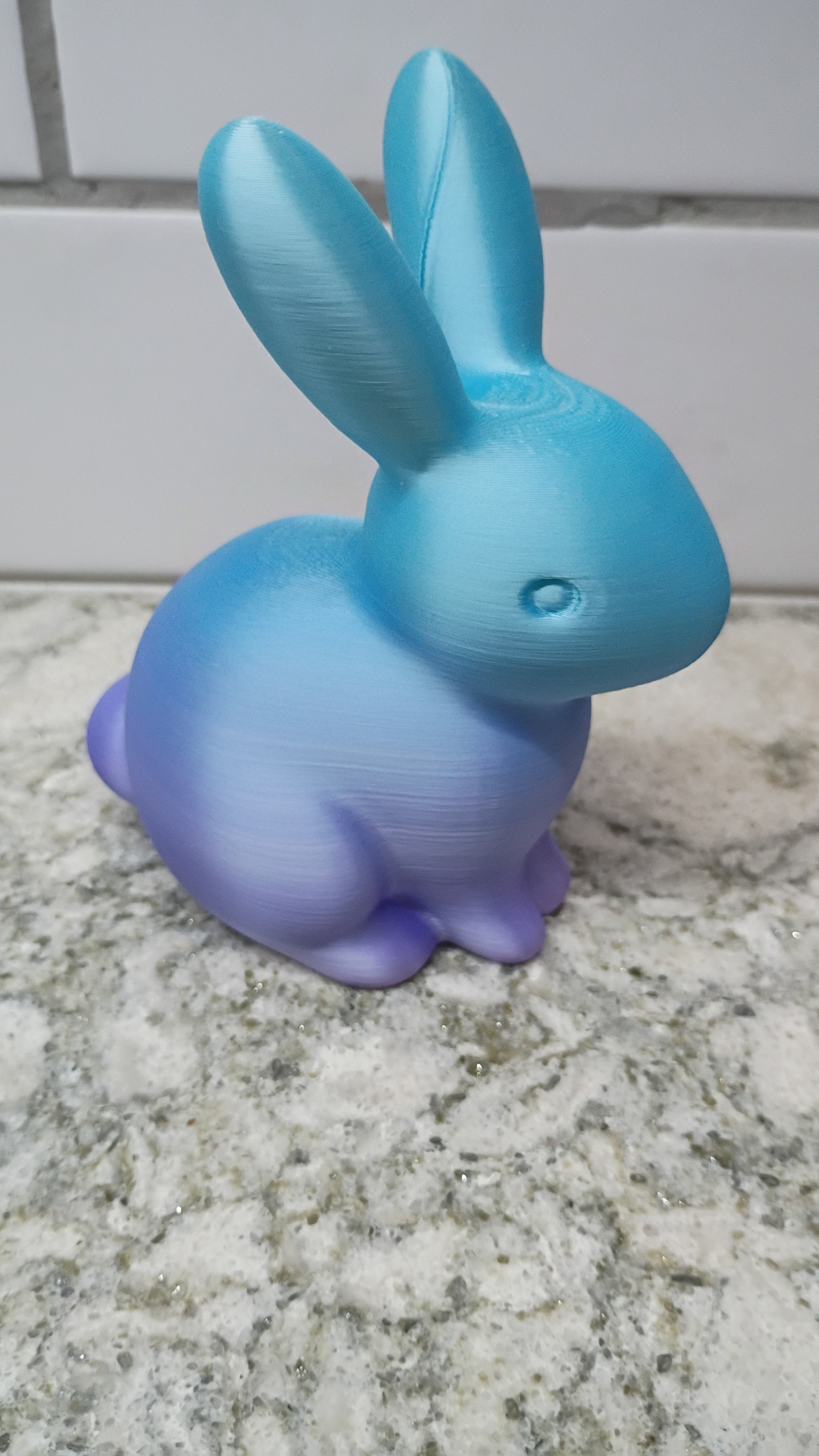 Mr. Bunny (small)