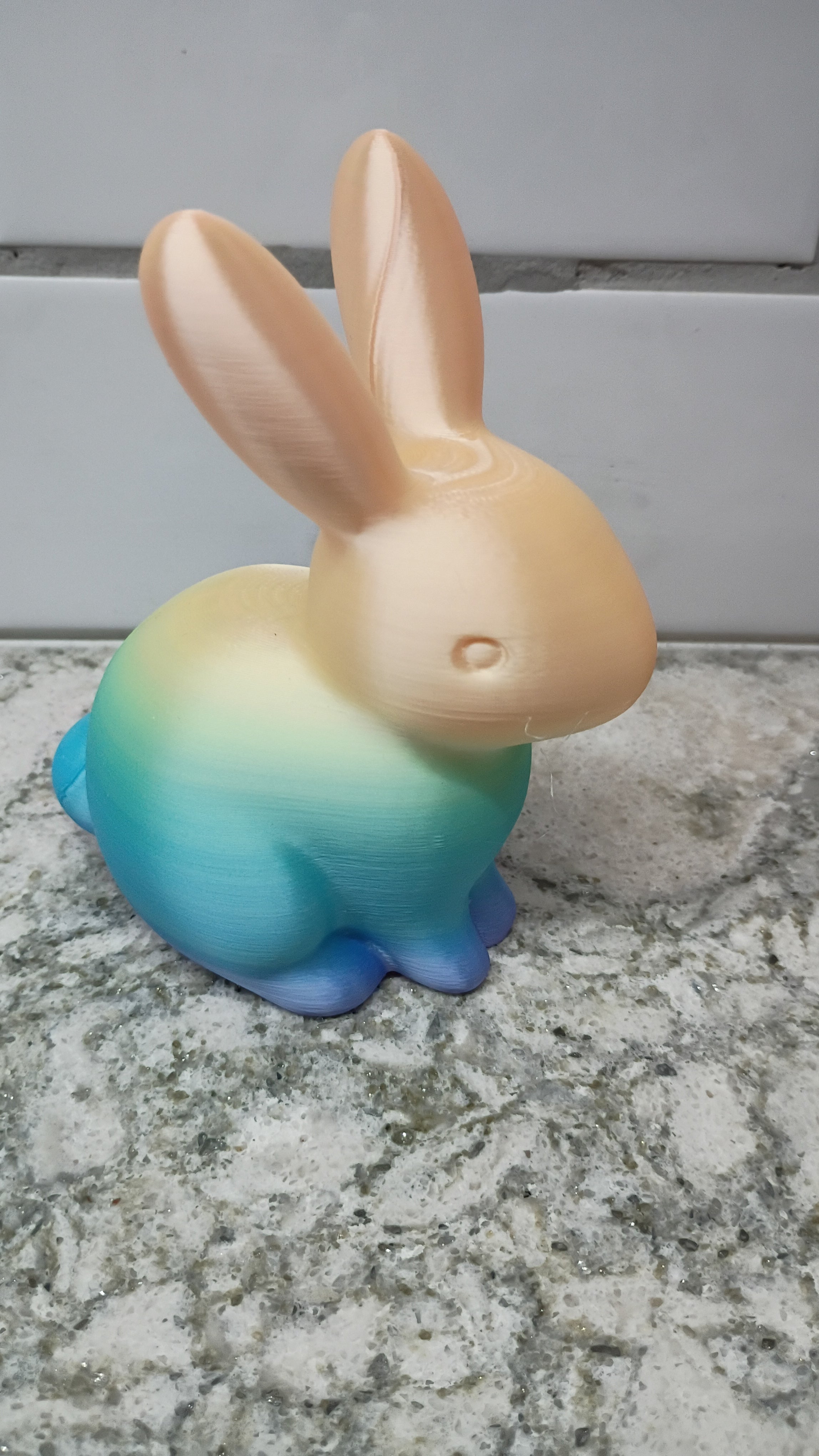 Mr. Bunny (large)