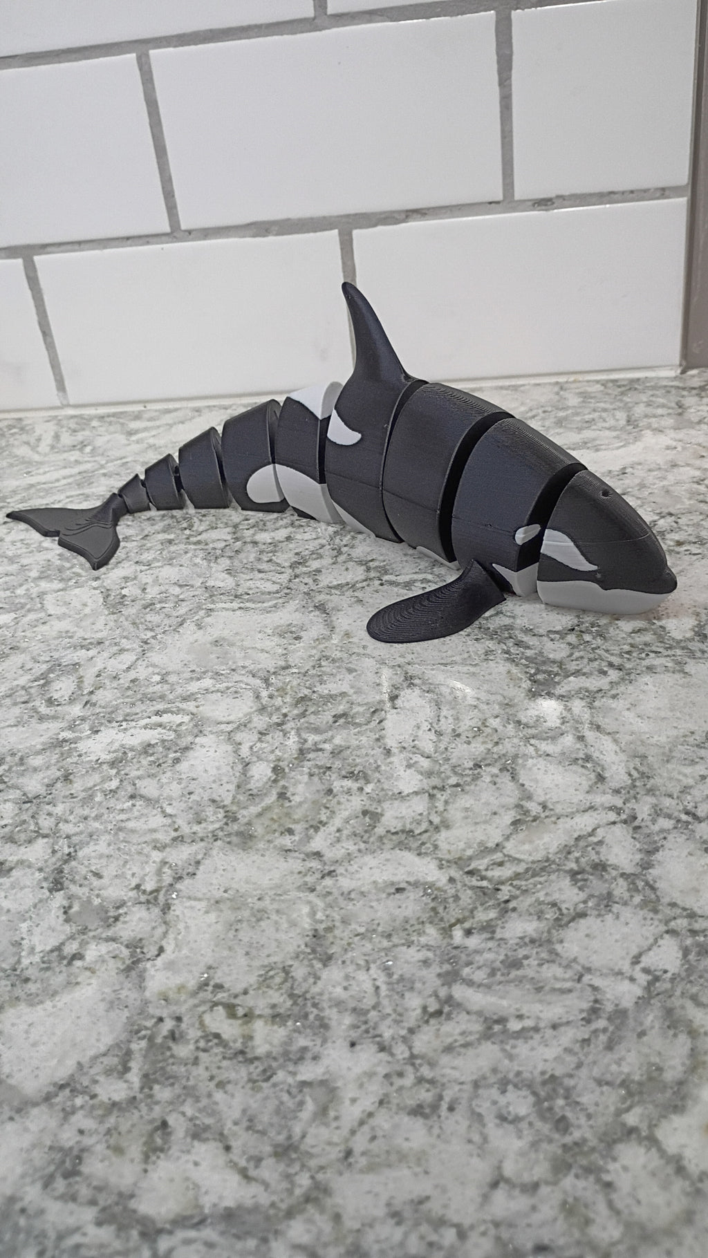 Oie the Orca