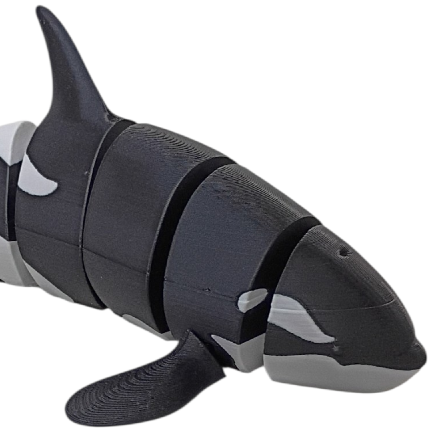 Oie the Orca
