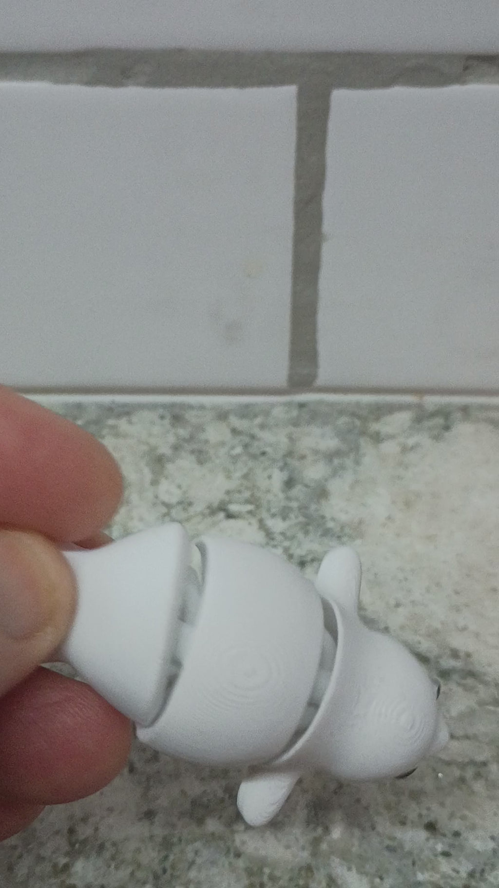 Bill the white Seal (set of 2)