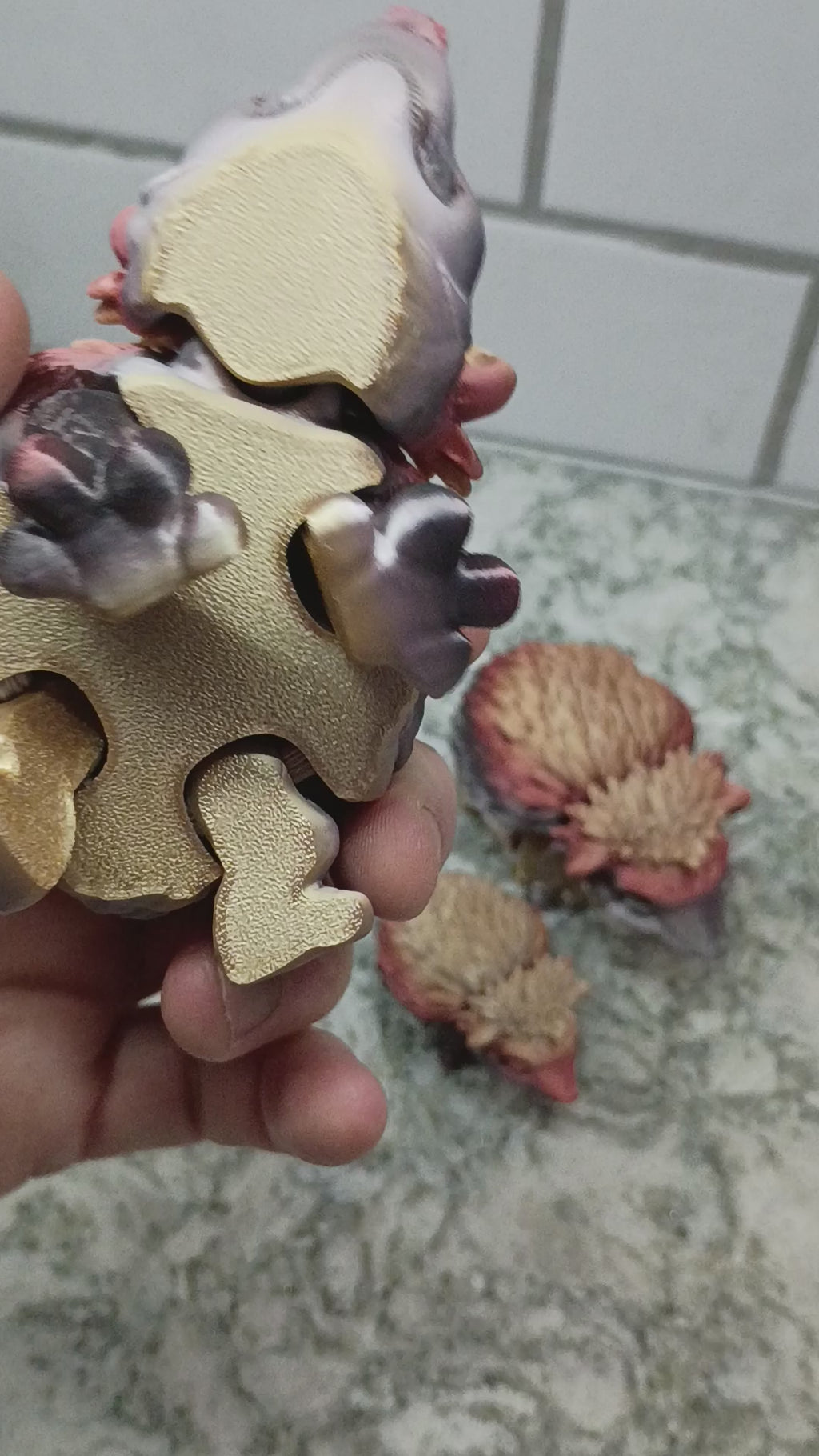 Family of Hedgehogs