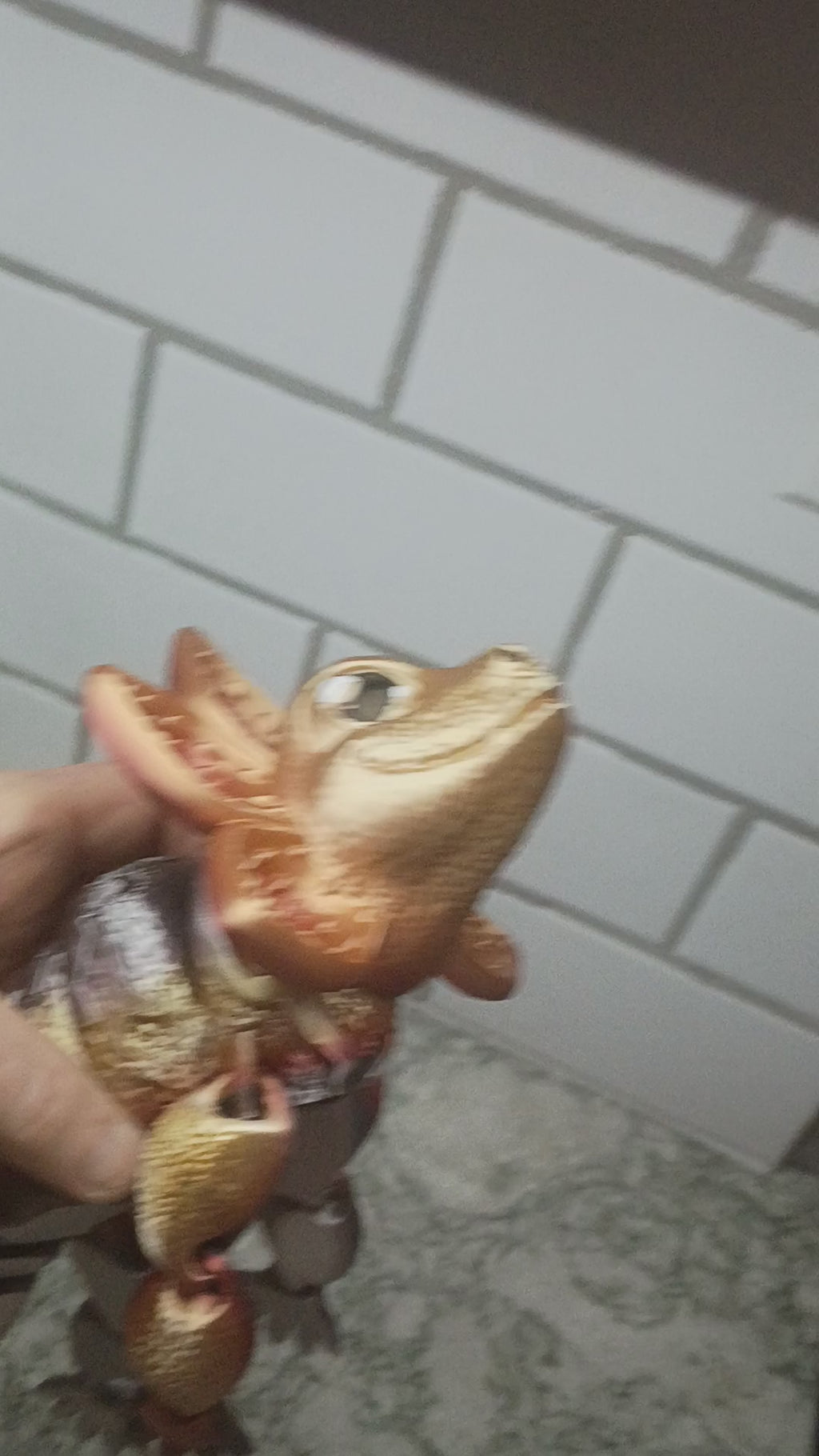 Frilled Lizard Dragon (Large)