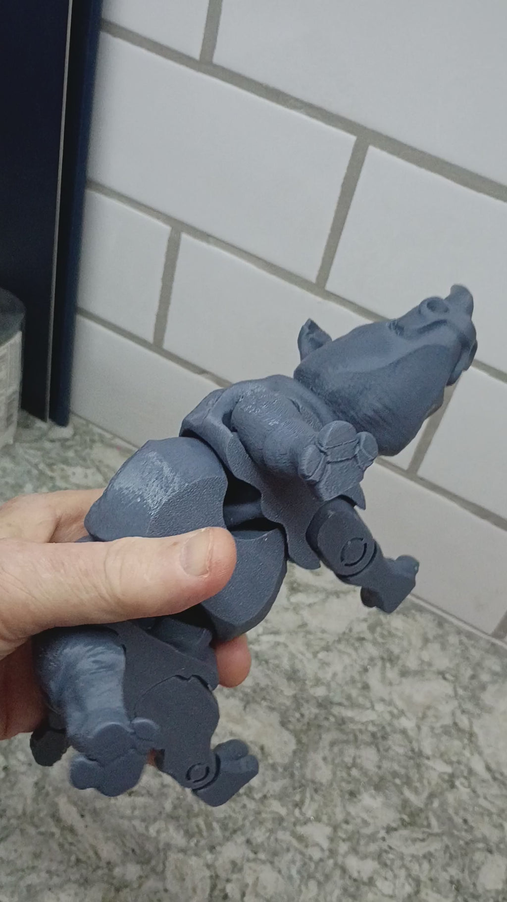 The Grey Rino